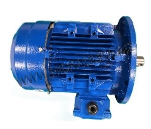 Elektromotor